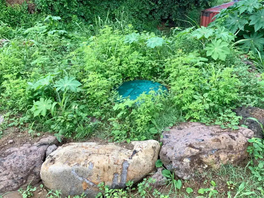 Couvercle turquoise d'une cuve enterrée, entouré de végétation et bordé de grosses pierres