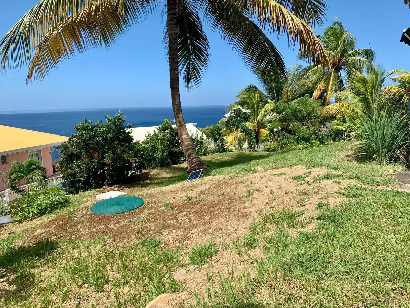 Terrain en pente remis en état après la pose d'une micro-station, cocotiers et vue sur la mer en Martinique